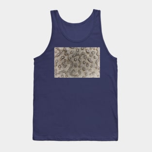 Spotted Volcanic Rock Formation Tank Top